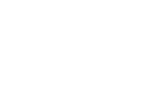 Vortex Optics logo